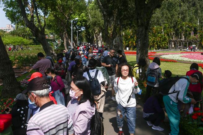 2023士林官邸郁金香展，郁金香处处盛开，美不胜收。开展第一天，吸引许多民眾前往观赏。（邓博仁摄）