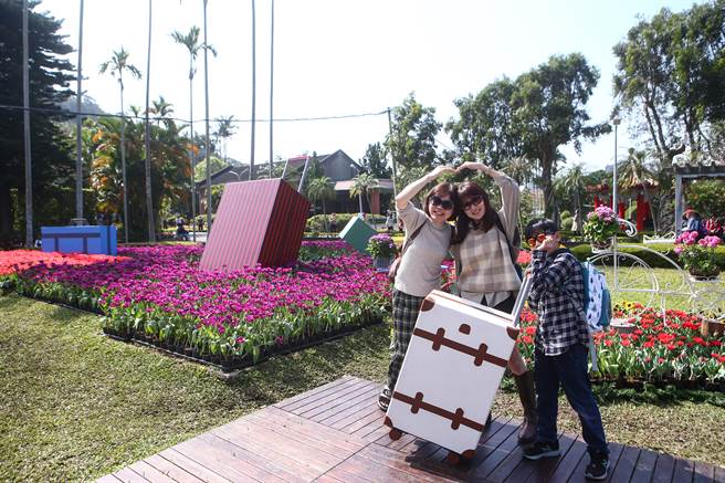 2023士林官邸郁金香展公园处配合今年遇见爱的主题，员工们也亲自打造一系列沉浸式展区，展区内的装置物如荷兰风车、木鞋、绘马、行李箱等，都是同仁手工制作。（邓博仁摄）
