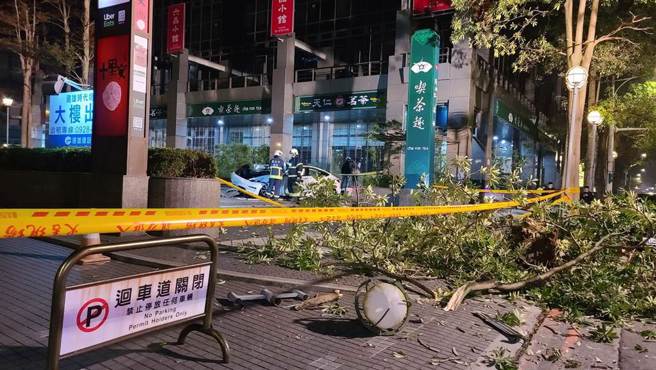 广场前路树被撞得满目疮痍。（民眾提供）