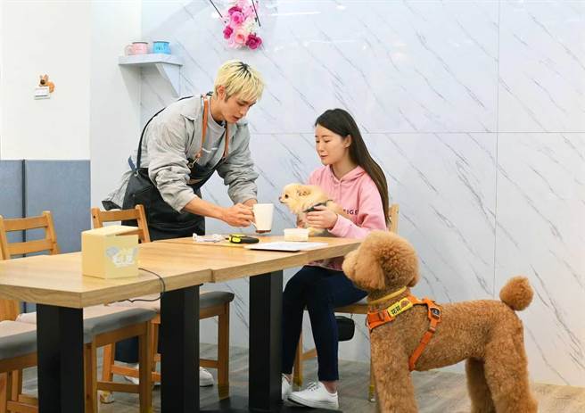 曹佑寧（左）忙着上菜。（台视提供）