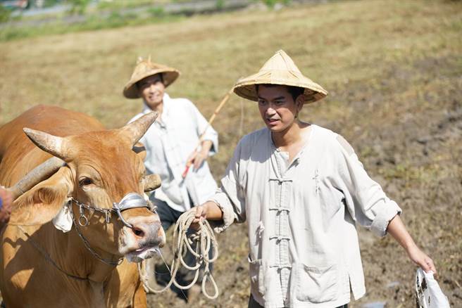 潘逸安和牛只拍对手戏，数次遭到衝撞。（艾迪升传播提供）