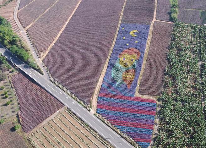 由屏科大團隊繪製的鳳梨彩帽貓頭鷹「旺福鴞」，成功透過彩色地景的展現，鼓勵高樹鄉鳳梨農減少使用鼠藥，傳達鳳梨產業也可以保護貓頭鷹的生態。（屏科大提供／謝佳潾屏東傳真）