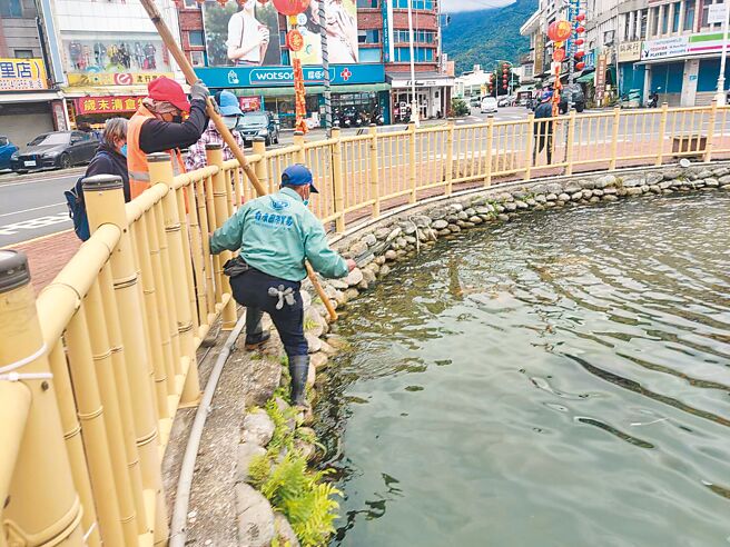 花莲县玉里镇地标圆环水池近日出现鱼群暴毙，公所派员打捞死鱼并清洁环境。（花莲县玉里镇公所提供／王志伟花莲传真）