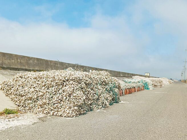 云林县沿海「牡蛎壳山」危及行车安全，县府将劝导移至暂置场。（张朝欣摄）