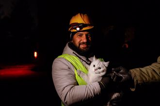 土耳其人是「貓奴」 震後搜救人員救貓畫面瘋傳惹哭網