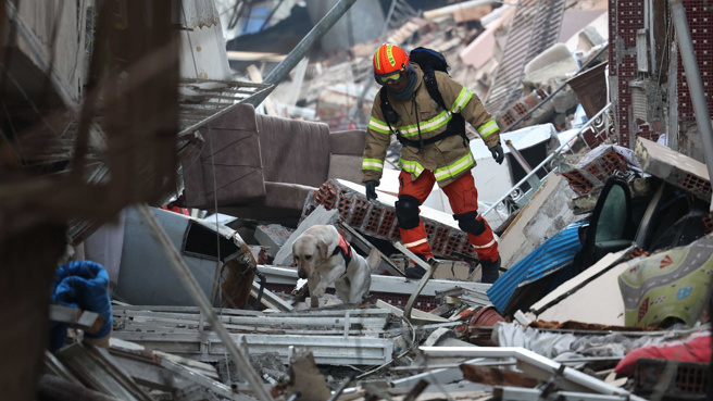 救援隊帶著搜救犬在土耳其盡力尋找生還者。(圖／達志影像)