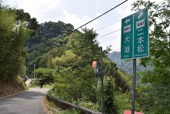 苗栗县原民部落竹林更新奖励金即日起接受申请。（谢明俊摄）