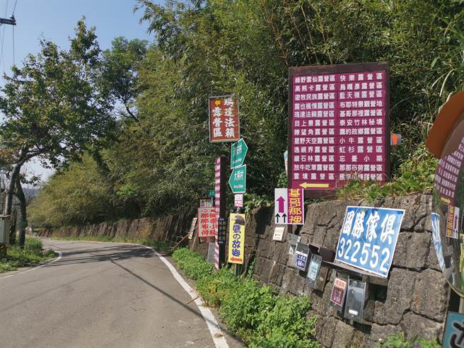 苗栗县原民部落竹林更新奖励金即日起接受申请。（谢明俊摄）