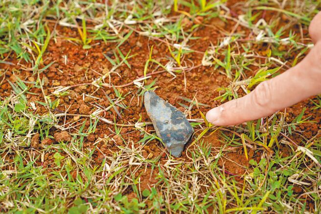 新竹市长高虹安与多名议员及专家实地到南寮运动公园会勘，发现场内草皮生长不佳、杂草丛生且伴有碎石、坑洞。（新竹市政府提供／王惠慧新竹传真）