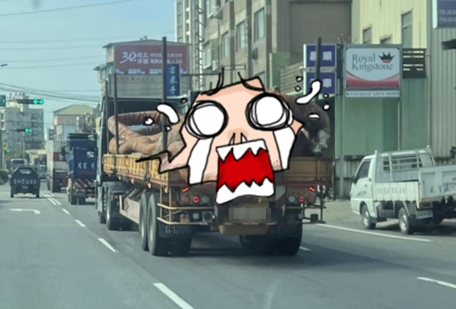 一名网友在路上目击一辆货车载着大型深棕色管状物体，拍下照片后引起其他网友们讨论，有人说「我以为是滷大肠」。（翻摄自脸书「路上观察学院」）