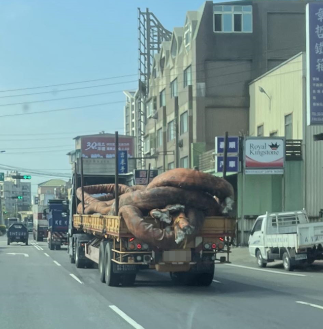一名网友在路上目击一辆货车载着大型深棕色管状物体，拍下照片后引起其他网友们讨论，有人说「我以为是滷大肠」。（翻摄自脸书「路上观察学院」）