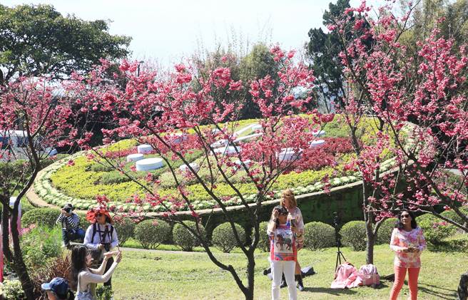 阳明山花季登场，许多民眾趁着好天气上山赏花、踏青，并在花钟前留影。（张铠乙摄）