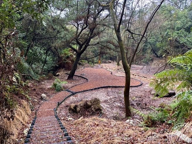 紫明溪林间平台(图：台北市大地工程处提供)
