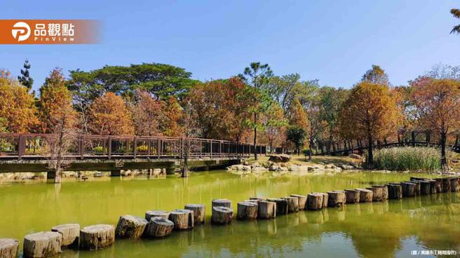 高雄期间限定！不容错过的市中心隐藏版落羽松秘境