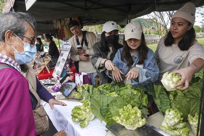 宜兰大同乡返乡青年组成「宜兰县原住民产销合作社」，将四季与南山地区生产的高丽菜、娃娃菜等高冷蔬菜带到「玩味大同」观光产业推广活动中贩售。（黄子明摄）
