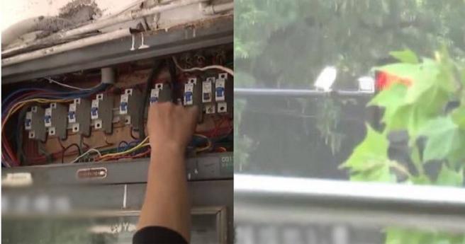 大陸浙江省一名黃姓男子發現電費居高不下，原來是因為門外的紅綠燈和家中的電表相連，讓他得知後頓時傻眼。（圖／翻攝自微博／1818黄金眼、環球時報）