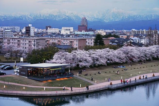 ▲富岩运河环水公园，公园内拥有「世界最美星巴克」，就能欣赏一整排的樱花美景。　图：大荣旅游／提供