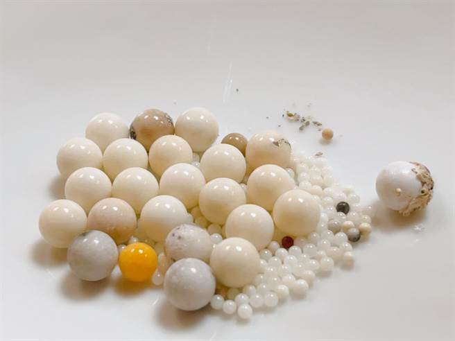 佛光山开山宗长星云大师的法体经荼毘仪式，烧出许多舍利子。（佛光山提供／林瑞益高雄传真）