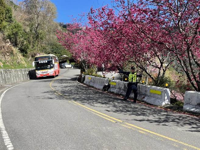 桃园北横樱花季警方执行交管措施避免塞车。(警方提供／吕筱蝉桃园传真)