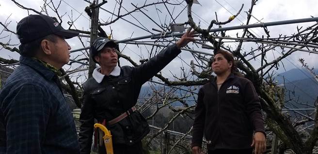 新住民石氏嫩勸逃逸移工男友至移民署到案，再分隔兩地苦等2年後，終於如願結連理。（移民署第二服務站提供）