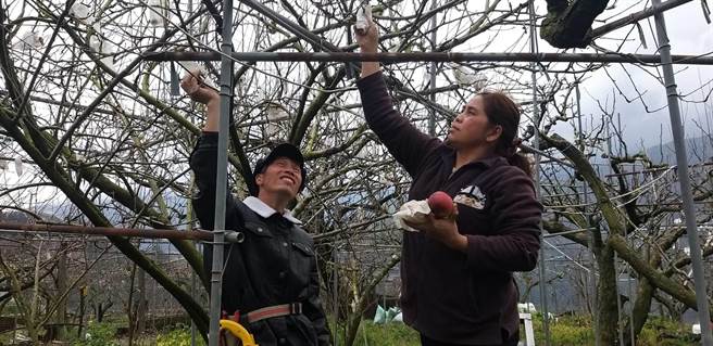 新住民石氏嫩勸逃逸移工男友至移民署到案，再分隔兩地苦等2年後，終於如願結連理。（移民署第二服務站提供）