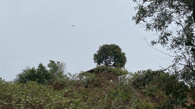 桂子山是台南市区现存唯一一座「小山」，海拔26公尺，为府城昔日最高点。（曹婷婷摄）