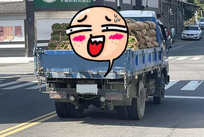 一名网友在路上发现前方货车上载满一个个「花生卷冰淇淋」，暗橘色的外皮包裹青绿色物体，而其实真相是「秧苗捆」。（翻摄自脸书「路上观察学院」）