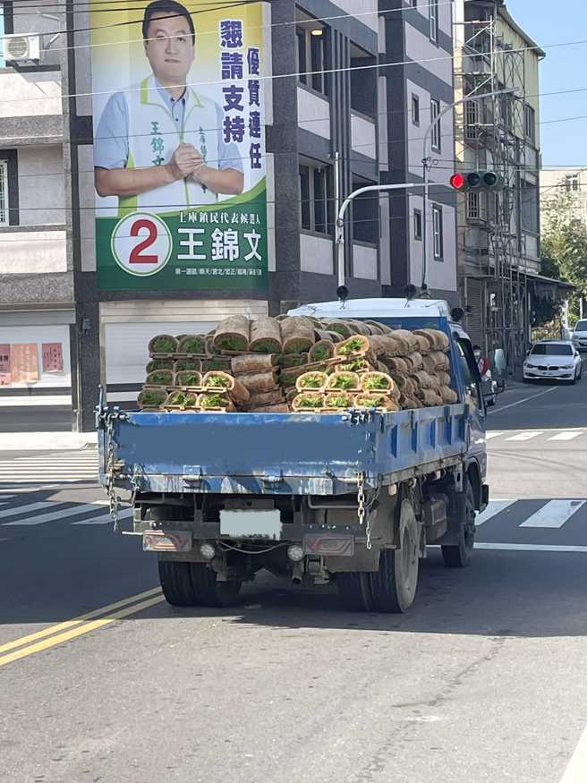 一名网友在路上发现前方货车上载满一个个「花生卷冰淇淋」，暗橘色的外皮包裹青绿色物体，而其实真相是「秧苗捆」。（翻摄自脸书「路上观察学院」）