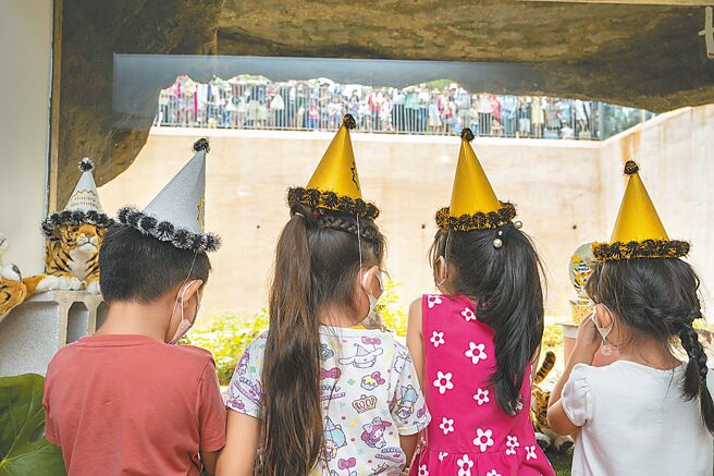 新竹市冻卵政策最快可望在母亲节推出。（陈育贤摄）