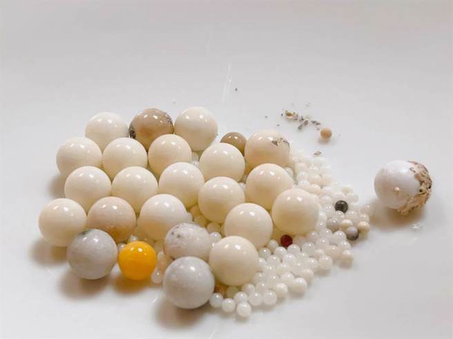 星雲大師火化後，弟子發現多顆舍利子，卻被側翼粉專抹黑，指其是「淘寶貨」。（佛光山提供／林瑞益高雄傳真）