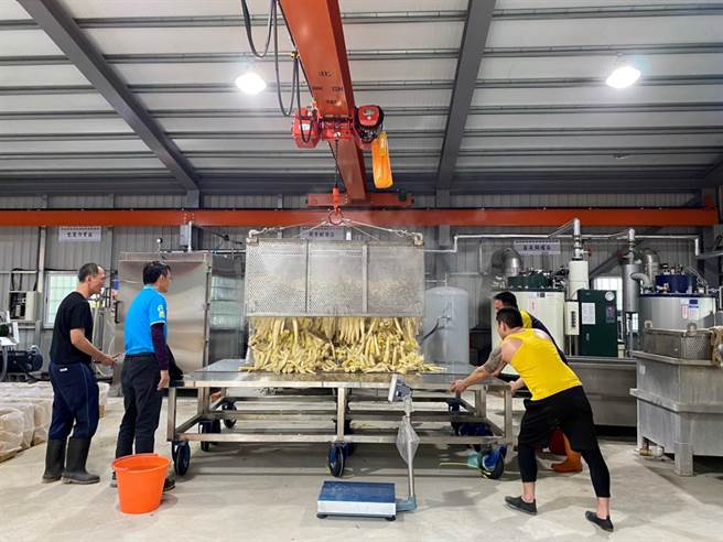 苗栗县政府原民中心协助泰安乡成立桶笋加工厂。（苗栗县政府原民中心提供／谢明俊苗栗传真）