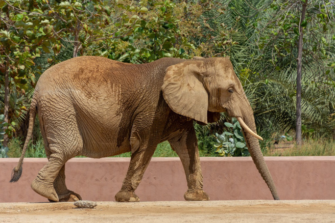 示意图(达志影像)