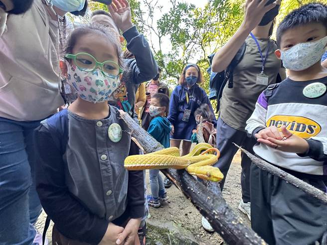 小朋友争相合照。（吕军逸提供／李奇叡台北传真）