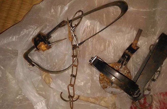 捕兽夹。(资料照片)