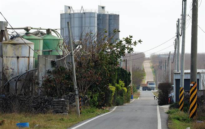 澎湖县政府辅导农民种植冰花、仙人掌，附近却有中油油库、养殖场、板模堆置场、预拌混凝土厂，破坏农业自然环境，也令人对政府的治理能力存疑。（张茂雄摄）