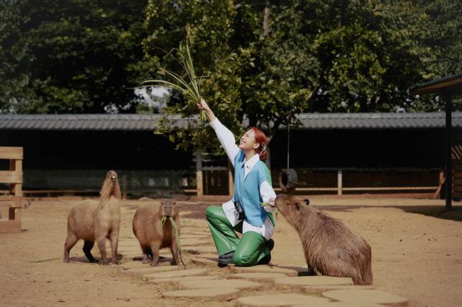 鬼鬼推出〈心跳噗通〉MV。(吴映洁工作室提供)