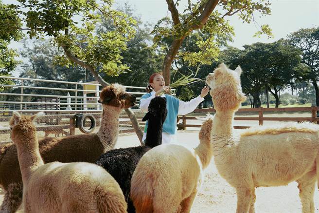 鬼鬼推出〈心跳噗通〉MV。(吴映洁工作室提供)