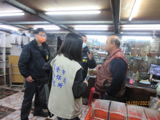 基隆市动保所查获鸟店贩售野生鸟类，紧急将鸟儿救出，野放山林。（基隆市政府提供／张志康基隆传真）