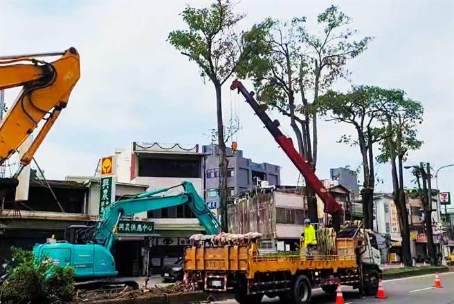 移除作业将持续到8月中旬。（民眾提供／李京升苗栗传真）