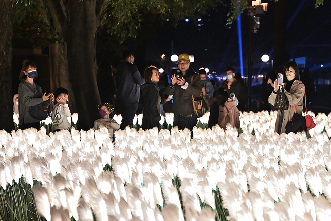 2023高雄莲潭灯会《光縴芦苇》景观灯饰作品。(摄影/Carter)