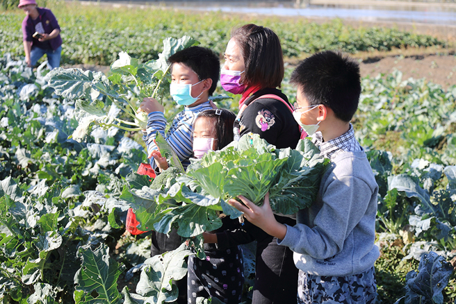 时序进入二月正是蔬菜丰收时节，可切身体会从产地到餐桌的农村日常。(摄影/Carter)
