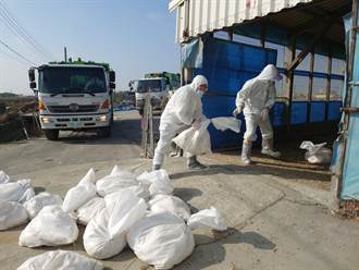 台南再爆新型禽流感疫情 今年共5場累計撲殺10萬禽隻