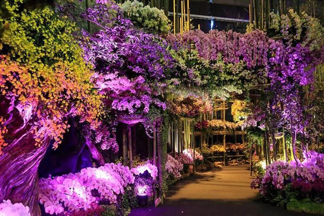 歷届台湾国际兰展主题布展。　图：臺南市政府观光旅游局／提供