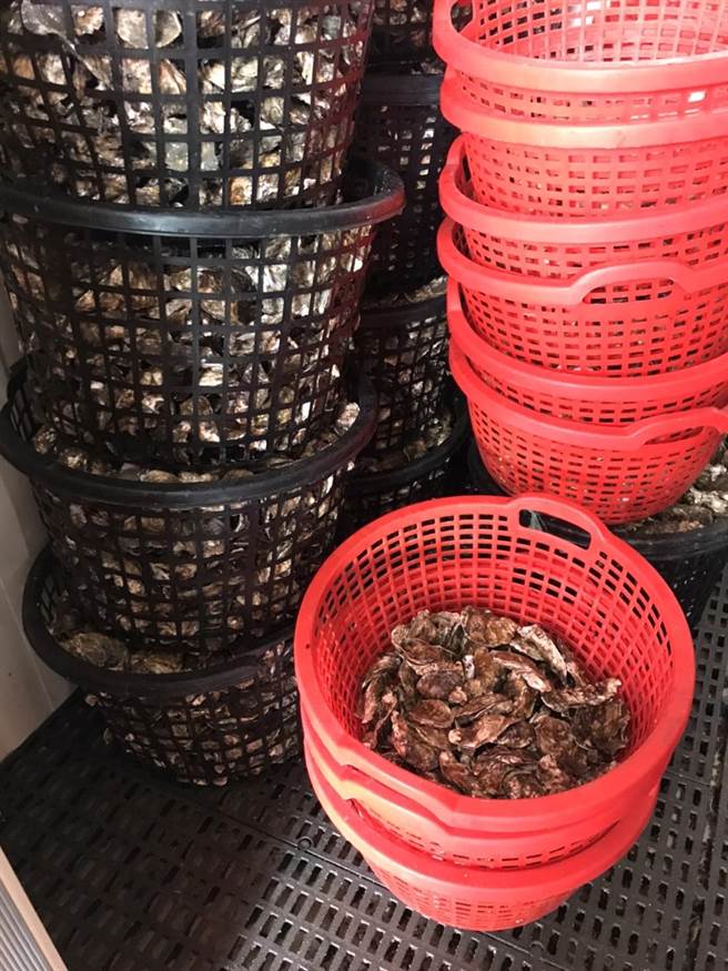 布袋、东石一带烤蚵仔吃到饱的业者共14家，逢假日几乎每间店都高朋满座。（嘉义县政府提供／吕妍庭嘉义传真）