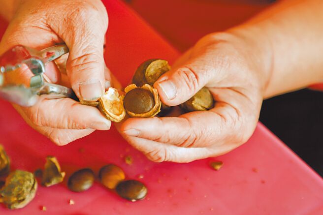 嘉义县印加果种植面积约35公顷，1年果实总收成约50公吨，主要用来精萃油品。（吕妍庭摄）