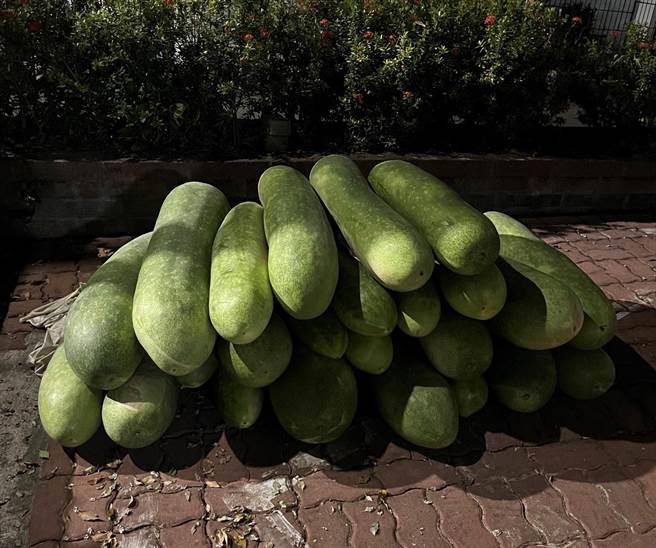 高雄旗山甲仙警方2月17日找到被偷取的冬瓜一批。（翻摄照片／林瑞益高雄传真）