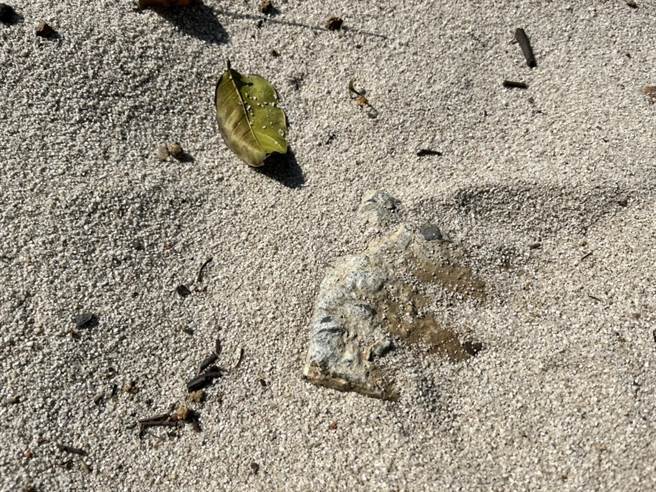 公園沙坑多規定入內要脫鞋，但暗藏小樹枝或尖銳物，赤腳情形下，非常容易受傷，議員劉仁照呼籲管理維護要更慎重。（蔡依珍攝）