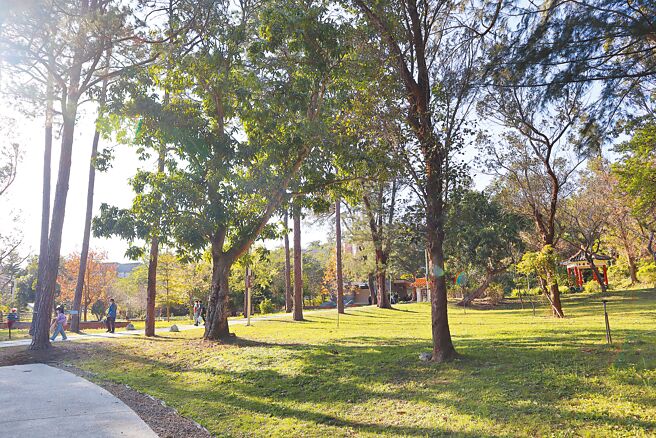 邓雨贤音乐文化公园是芎林当地居民休閒的热门场所，但紧邻公园的社区却因缺乏平坦步道，长辈难以步行前往。（邱立雅摄）