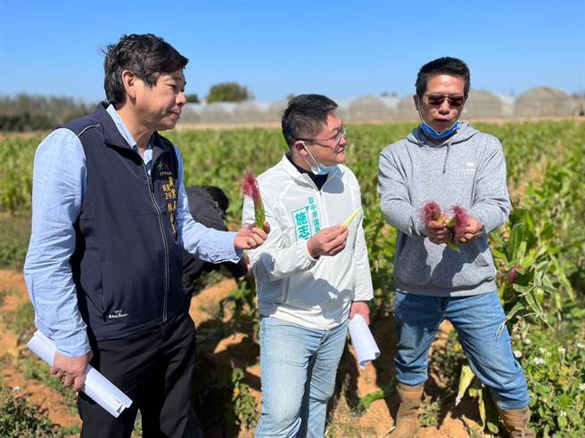 市议员施志昌20日邀集农业局、大甲、大安与外埔三区农会等，前往有机农业集团栽培区二区会勘。(陈世宗摄)