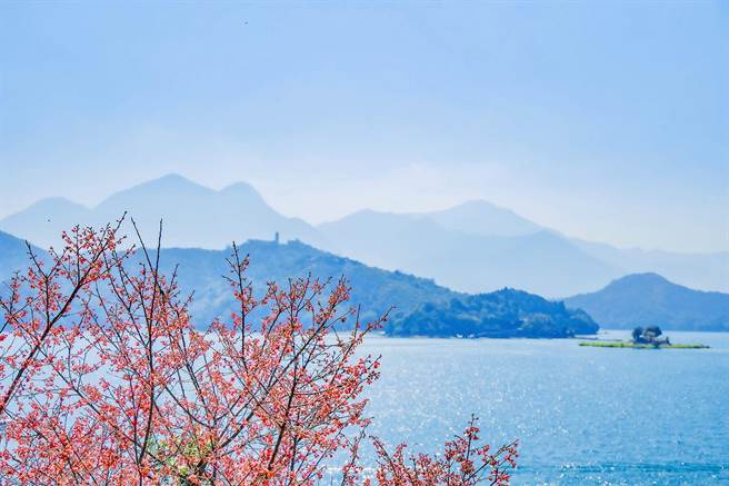 日月潭樱花季，涵碧楼推花见六感体验。（涵碧楼提供／廖志晃南投传真）